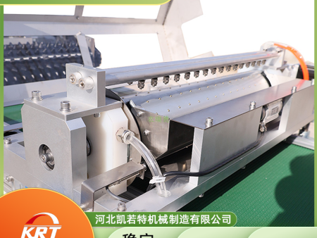 2BP-800A型滚筒式穴盘播种机  穴盘播种机厂家