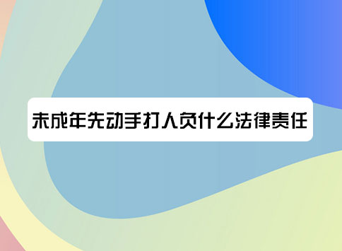 未成年先动手打人负什么法律责任?