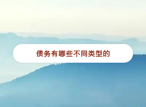 债务有哪些不同类型的?