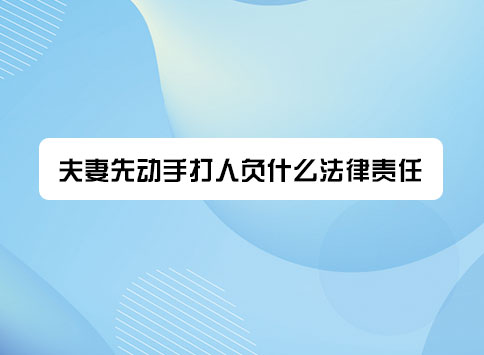 夫妻先动手打人负什么法律责任?