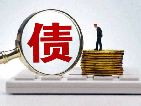 如何在一年内还清3万美元的债务？