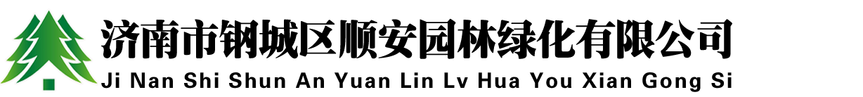 山东莱芜造型景松基地 