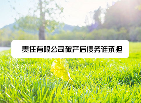 责任有限公司破产后债务谁承担？