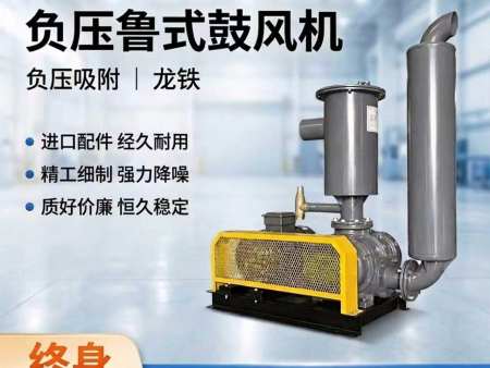 负压鲁式鼓风机龙铁吸附降噪源头厂家负压鲁式鼓风机