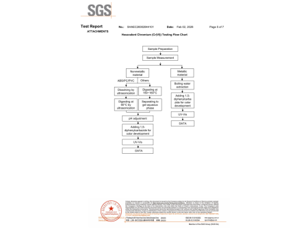 SGS 蓝钢 英文