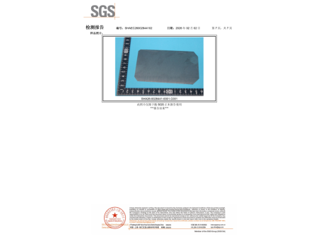 SGS 蓝刚 中文