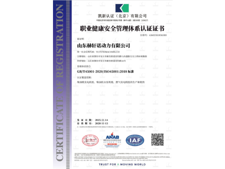 赫轩诺职业健康安全管理体系认证证书 赫轩诺职业健康安全管理体系认证证书