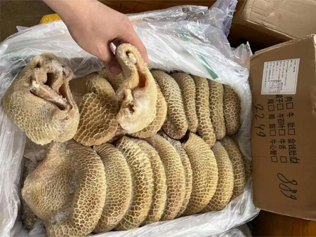 熟金 钱肚