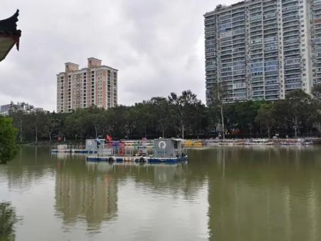 从“底泥”到“森林”，福州西湖正在完成一场生态蜕变