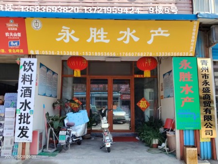 永胜水产 电话：0536-2133808 15318953656 17660768278 13336366638 地址：海天市场老8号冷库永胜水产1