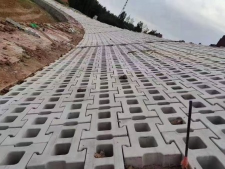 坡面平铺连锁生态护坡砌块