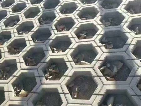 空心六角植草生态护坡砖