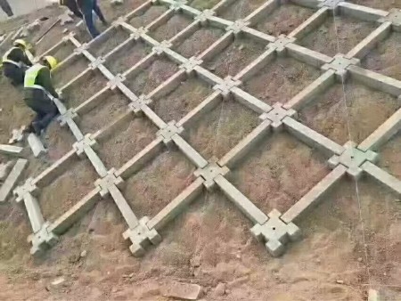 十字连锁网格生态护坡砌块