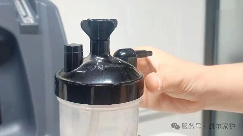 凯尔家护