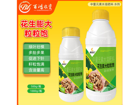 花生膨大粒粒饱