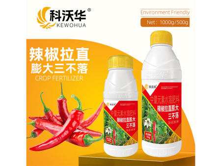 辣椒拉直膨大三不落