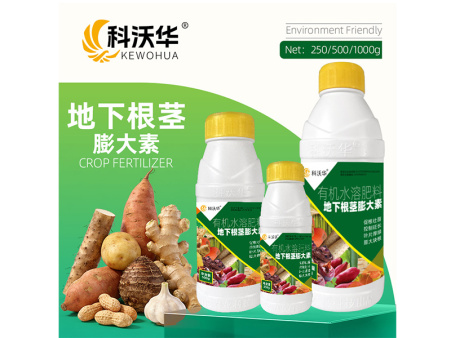 地下根茎膨大素