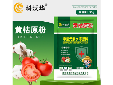 黄枯原粉