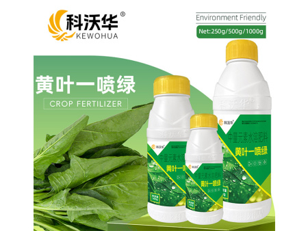 黄叶一喷绿原名一喷绿