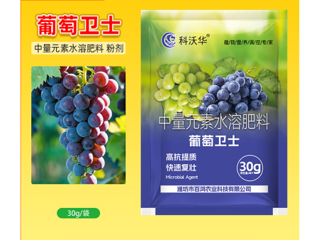 葡萄卫士