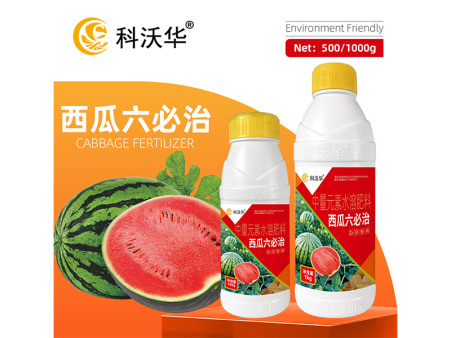 西瓜六必治