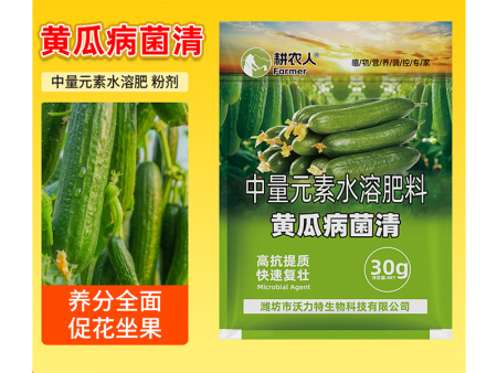 黄瓜病菌清