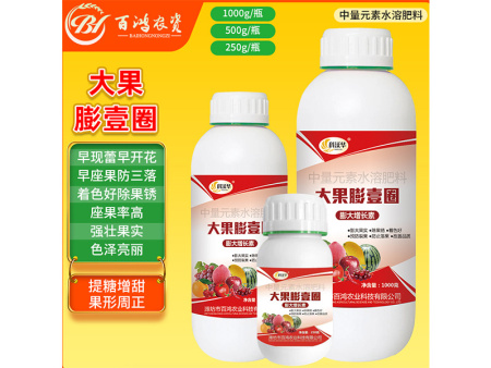 大果膨壹圈原名果大壹圈