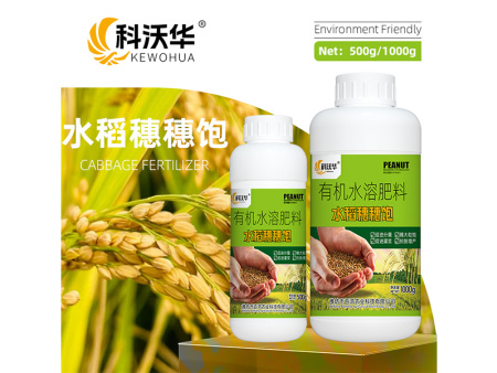 水稻穗穗宝原名稻黄金