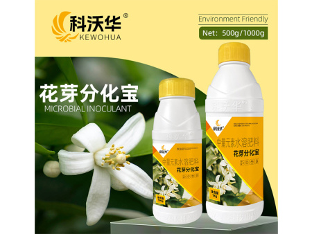 花芽分化宝