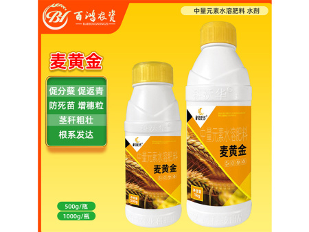 麦黄金