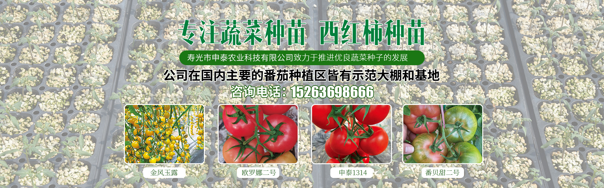 寿光市申泰农业科技有限公司