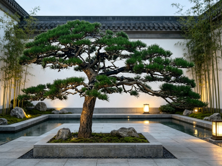 景观松基地
