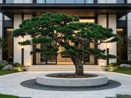 景观松价格