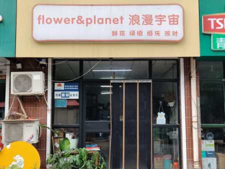 浪漫宇宙鲜花店