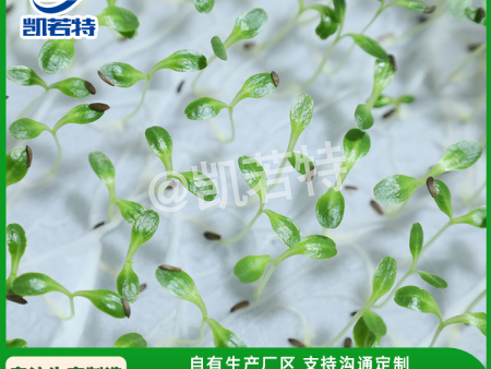 定向研发2RD-600C大型种子丸粒生产线 离心造粒低温烘干