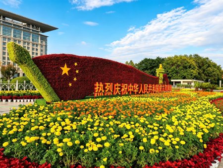 花卉租摆
