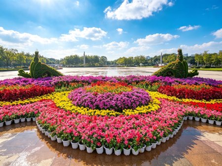 花卉租摆