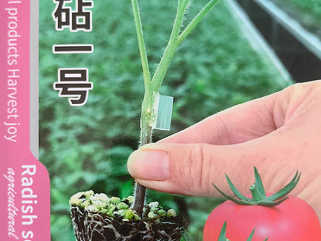 番砧一号
