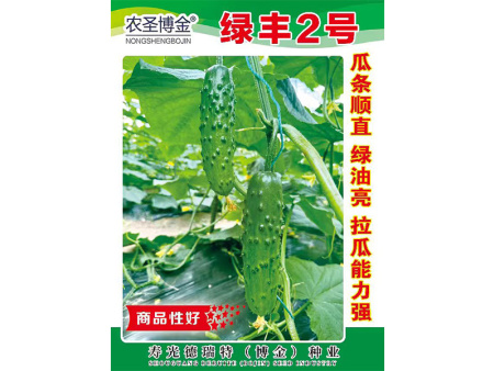 绿丰2号