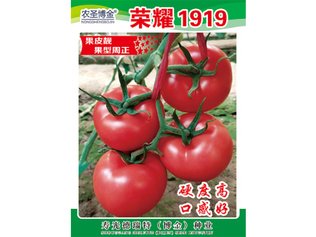 荣耀1919