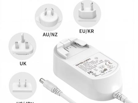 48W 24V2A Interchangeable Plug Power Adapter-SK05T