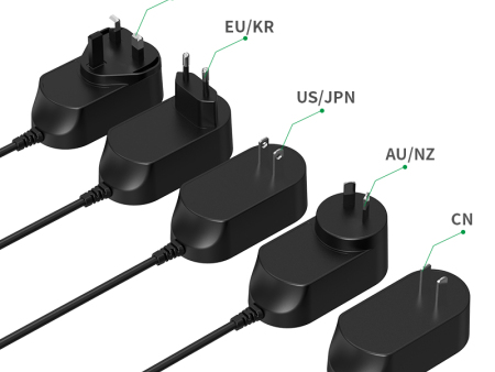 12V 1A 12W Interchangeable  Power Adapter for Beauty Device