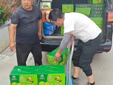 从新西兰医者，到秦岭猕猴桃的国际推广大使——一场跨越山海的真诚偏爱