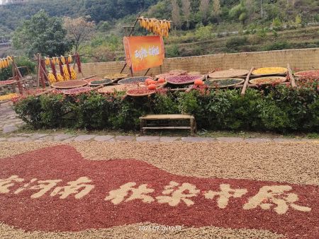 “老家河南・秋染中原” 秋季文旅系列活动在林州太行大峡谷景区正式启幕