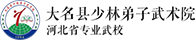 河北大名少林弟子武术院