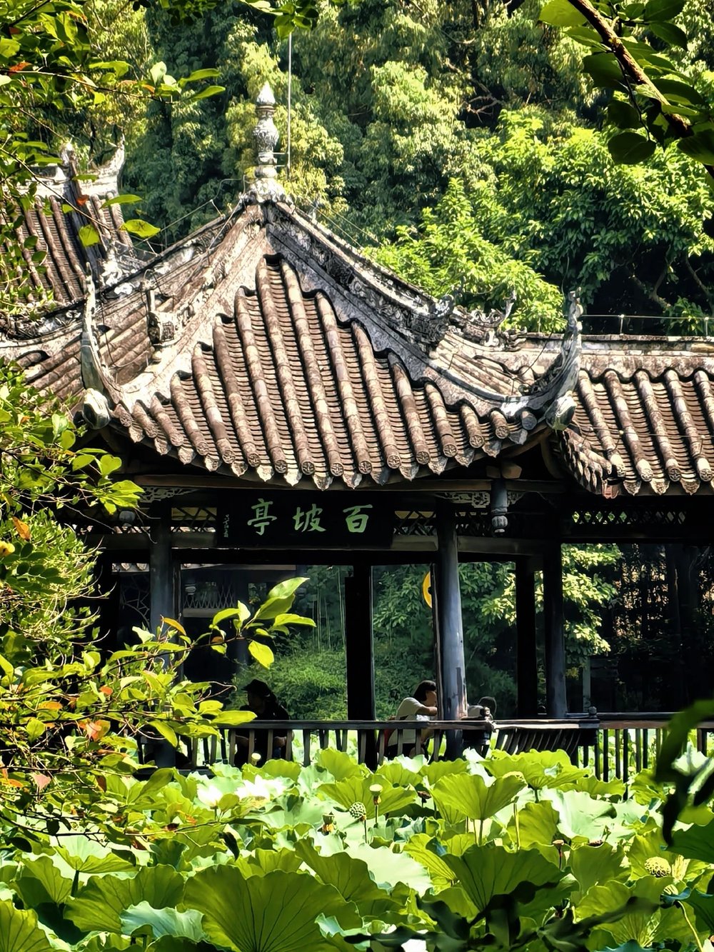 三苏祠