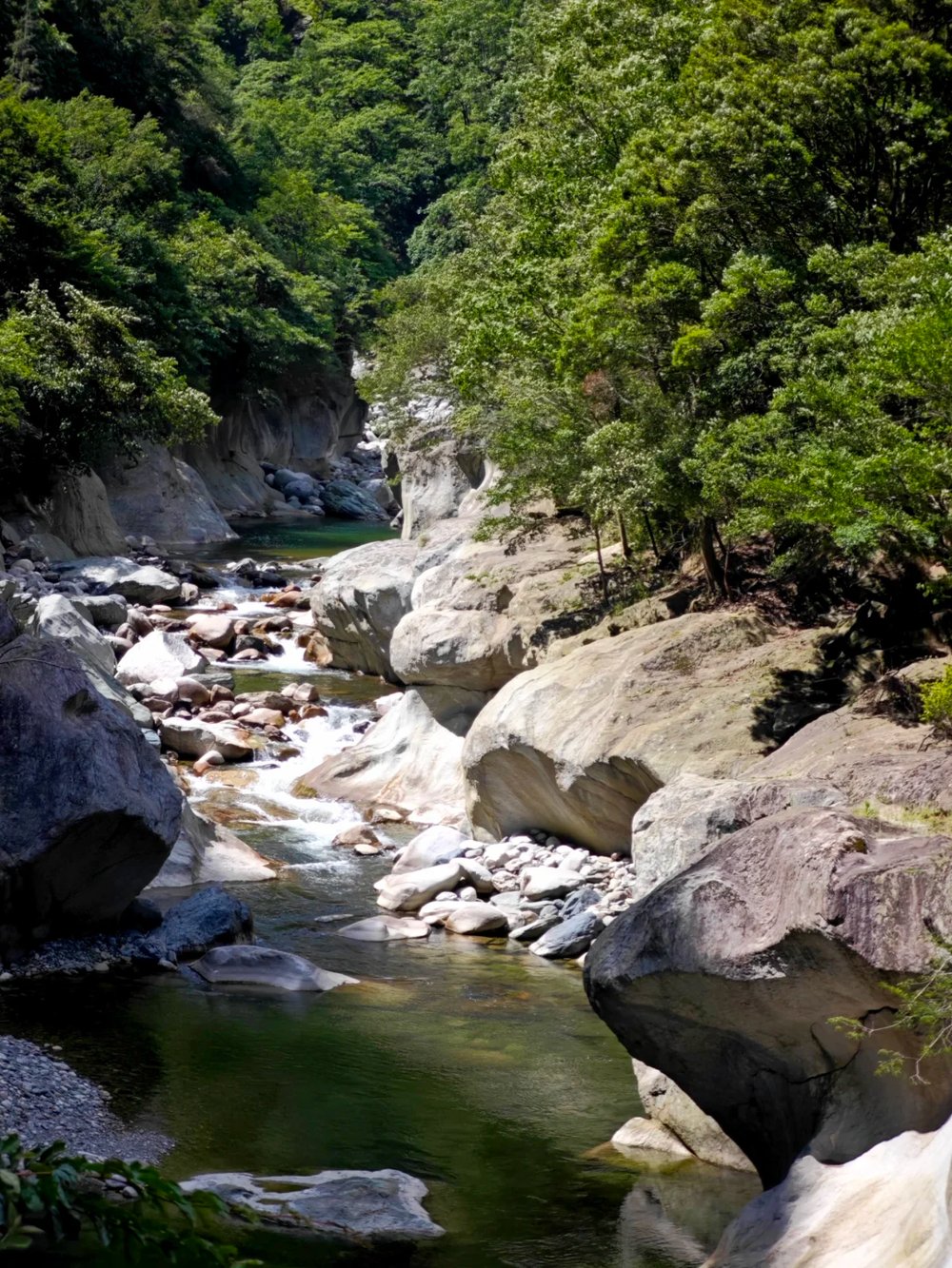 唐家河