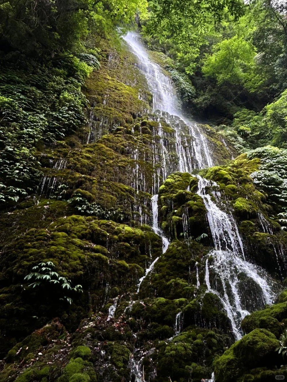 青城山