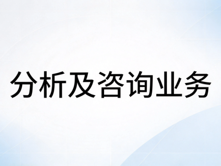 分析及咨询业务