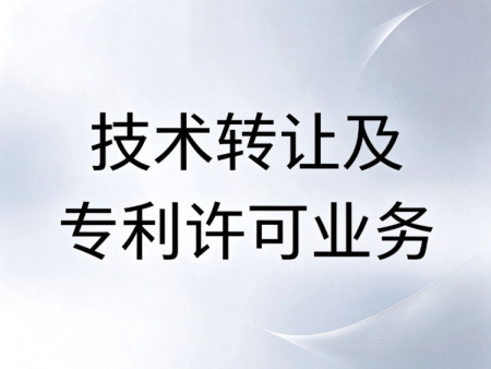 技术转让及专利许可业务